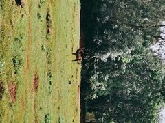 -海南热带野生动植物园
