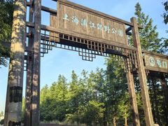 -上海浦江郊野公园-5号停车场