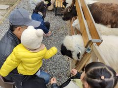 -HERRE·FARM 赫尔露营农场·团建聚会包场