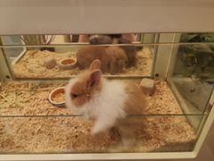 -龙猫仔乐园(惠福东路店)