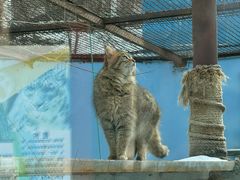 -青藏高原野生动物园