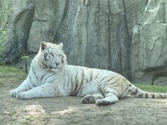 -北京野生动物园