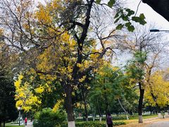-北京邮电大学