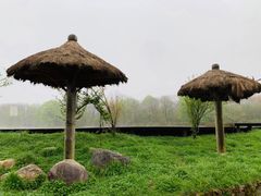 -大九湖