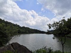 -广州白江湖森林公园