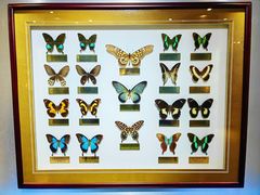 -上海昆虫博物馆