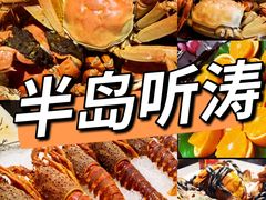 -半岛听涛蒸汽海鲜自助(K11店)