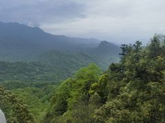 -青城山