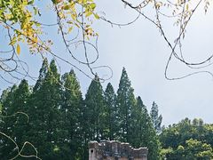 -音乐台