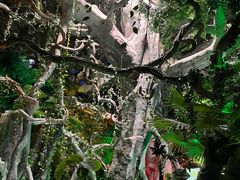 -泉城欧乐堡海洋极地世界