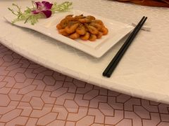 -上海安亭别墅花园酒店