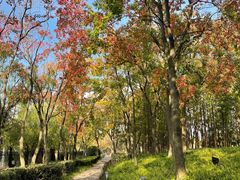 -上海山野camping·户外天幕烧烤·团建拓展营地