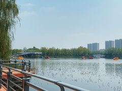 -大兴滨河森林公园