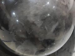 -心语宠物医院·急重症转诊中心·瑞辰华诺(南青路店)