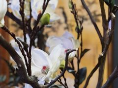 -E+有冰工厂·昆仑寒宫2(五角场店)