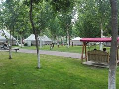 -九十九顶毡房(阜石路店)