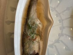 -逸林轩中餐厅(中信泰富朱家角锦江酒店)