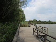 -大湾区中央湿地公园