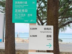 -杨梅坑