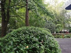 -成都市活水公园