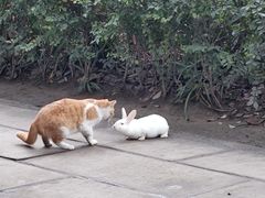 -成都市文殊院