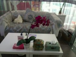 点击看大图 -薇兰专业脱毛连锁机构