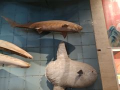 -浙江省科技馆