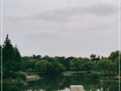 -贡湖湾湿地公园