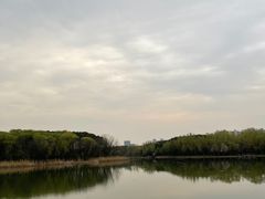 -昆山城市生态森林公园