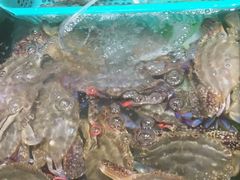 -胖子饺子馆·海鲜家常菜(海军博物馆店)