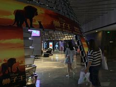 -武商摩尔影城(国广IMAX激光店)