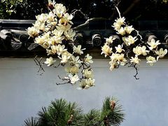 -无锡梅园公园