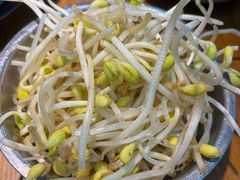 井水豆芽-阳阳老火锅(小南门店)