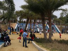 -宝安西湾红树林湿地公园