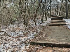 -惠山国家森林公园