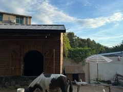 -HERRE·FARM 赫尔露营农场·团建聚会包场