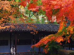 -惠山古镇·寄畅园