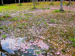 -白塘生态植物园