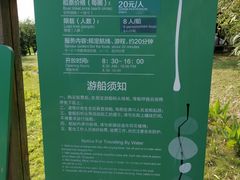 -荷塘月色湿地公园·向阳花洲