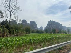 -明仕田园