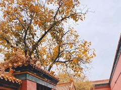 -故宫博物院(故宫)