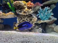 -上海海昌海洋公园