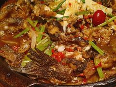 -老板恋上鱼(恒隆广场店)