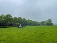 -宜兴龙背山森林公园