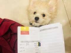 -艾贝尔宠物医院·狂犬免疫点(江山金象城店)
