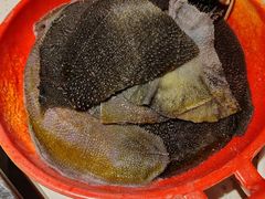 -二荆条·蜀鲜汇城市森林火锅