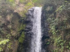 -马峦山郊野公园