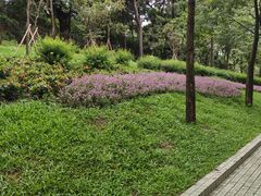 -云溪植物园