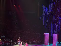 -珠海横琴长隆《卡卡虎奇遇记》