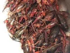 -怪怪龙虾·澳洲蓝龙王·深夜食堂(惊驾路店)